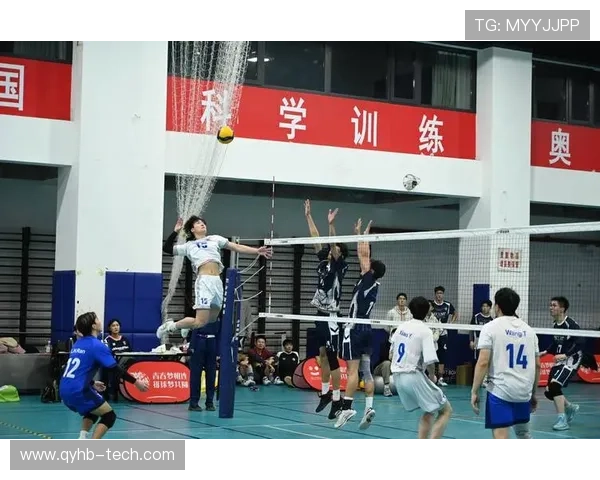 武汉排球队在欧锦赛中的蜕变与新生探索之旅